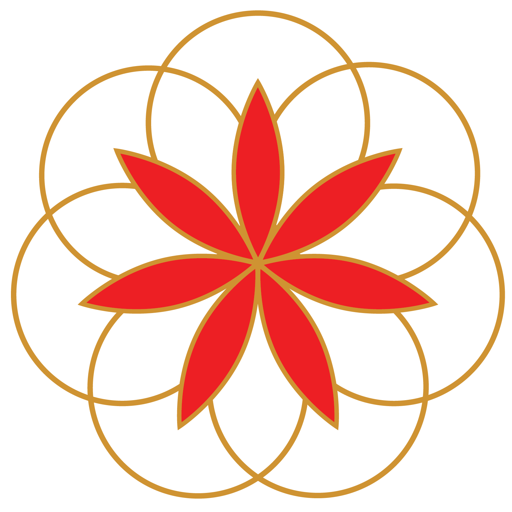 AKSA FOUNDATION